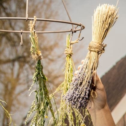 Dłoń trzymająca wiązkę suszonej lawendy przewiązaną sznurkiem, wystawiona obok innych wiązek ziół na okrągłej suszarce. Tło przedstawia rozmyte drzewo i linię dachu. Idealny dla internetowych butików ogrodniczych poszukujących wysokiej jakości suszonych ziół i produktów z lawendy.