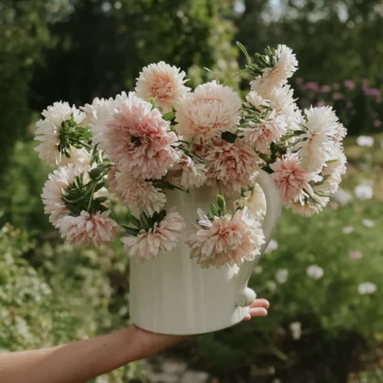 dzbanek pełen świeżych kwiatów astra 'King Size Apricot', wyeksponowany w żywym, nasłonecznionym ogrodzie otoczonym bujną zielenią drzew i roślin — idealna inspiracja na kwiatową aranżację dla klientów internetowych butików ogrodniczych.