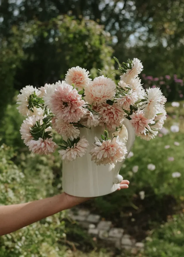 dzbanek pełen świeżych kwiatów astra 'King Size Apricot', wyeksponowany w żywym, nasłonecznionym ogrodzie otoczonym bujną zielenią drzew i roślin — idealna inspiracja na kwiatową aranżację dla klientów internetowych butików ogrodniczych.