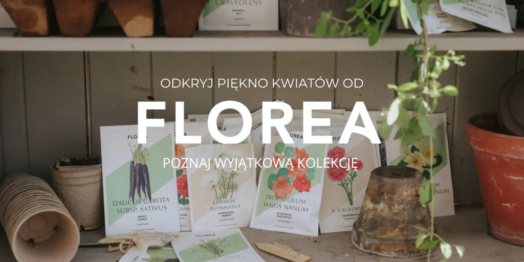 Odkryj piękno kwiatów z Florea - Premium Flower Seed Packes and Gardening Supplies Exposed on the Peninsula, With Charming Dotted Plant. Polish Text Ready: "Odkryj piękno kwiatów od Florea, poznaj wyraźnie widocznym," Prezentacja ekskluzywnych nasion kwiatów Florea dla Twojego internetowego butiku ogrodniczego.