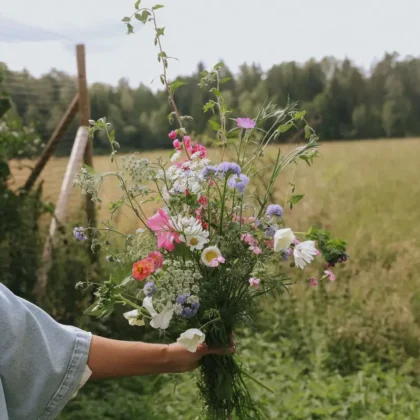 Piękny bukiet polnych kwiatów z mieszanki bukietowej pastel z żywymi różowymi, fioletowymi, białymi i pomarańczowymi kwiatami trzymanymi przez ogrodnika. Bujne zielone tło łąki z drzewami i zachmurzonym niebem. Idealna kompozycja kwiatowa dla entuzjastów butików ogrodniczych online poszukujących kwiatów inspirowanych naturą.