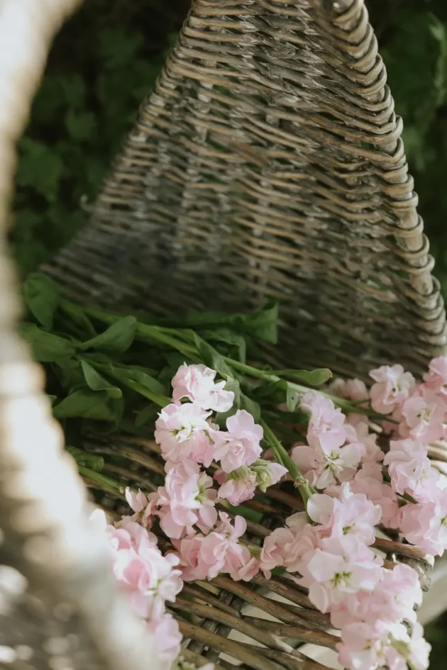 Odkryj urok jasnoróżowego bukietu kwiatów lewkonia Iron Cherryblossom z bujnymi zielonymi liśćmi, elegancko ułożonymi na rustykalnym wiklinowym krześle. Ta urzekająca kompozycja kwiatowa doskonale nadaje się do upiększenia ogrodu lub wystroju domu. Na tle rozmytego tła żywej zieleni scena ta ucieleśnia delikatną i naturalną estetykę idealną dla każdego miłośnika ogrodnictwa. Odkryj więcej wykwintnych kompozycji kwiatowych w naszym internetowym butiku ogrodniczym już dziś!.