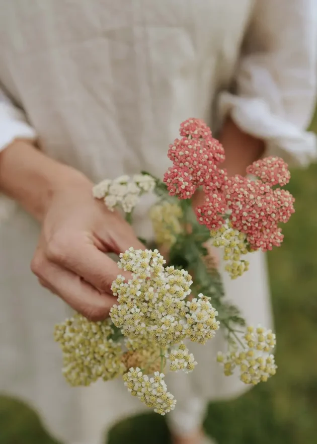 Odkryj elegancję dzięki naszemu ręcznie wybranemu bukietowi kwiatów krwawnika Summer Pastell Mix z delikatnymi różowymi i żółtymi kwiatami, pięknie ułożonymi na spokojnym trawiastym tle. Idealny dla miłośników ogrodów, ten czarujący bukiet wzbogaci każdy strój, jak elegancka beżowa sukienka pokazana tutaj. Odkryj więcej w naszym internetowym butiku ogrodniczym, aby podnieść swój styl dzięki najwspanialszym kwiatom natury.