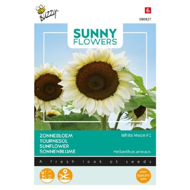 Ulepsz swój ogród naszymi nasionami słonecznika premium White Moon F1! Ta przyciągająca wzrok paczka nasion prezentuje duże słoneczniki kwitnące pod olśniewająco czystym niebem. Oznaczona etykietą „Sunny Flowers” i przedstawiająca odmianę Słonecznik „White Moon” F1, paczka zawiera tłumaczenia „Sunflower” w wielu językach. Zaufaj marce Buzzy Quality Seeds, jeśli chodzi o najwyższej jakości artykuły ogrodnicze. Opakowanie zawiera również łatwe do zrozumienia ikony pielęgnacji roślin, dzięki czemu jest idealne dla ogrodników na każdym poziomie, którzy chcą z powodzeniem uprawiać oszałamiające słoneczniki. Kup teraz w naszym internetowym butiku ogrodniczym!.