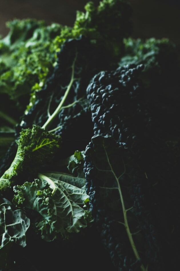 Zbliżenie bujnych, ciemnozielonych liści jarmużu Nero di Toscana z kręconymi brzegami w internetowym butiku ogrodniczym. Odkryj organiczne nasiona jarmużu i żywe rośliny dla kwitnącego ogrodu warzywnego. Idealne dla ogrodników poszukujących bogatych, teksturowanych liści w swoim asortymencie produktów.