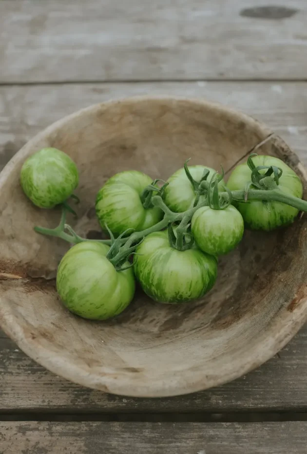 Świeże zielone pomidory Green Zebra w paski w rustykalnej drewnianej misce - Online Gardening Boutique. Odkryj nasz wykwintny wybór ekologicznych zielonych pomidorów, idealnych do przepisów z ogrodu na stół. Te tradycyjne pomidory, z ich żywym wzorem pasków i zielonymi łodygami, są eksponowane na uroczej, zwietrzałej drewnianej powierzchni. Odkryj najlepsze artykuły ogrodnicze i świeże produkty w naszym sklepie internetowym już dziś!.