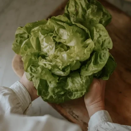 zieloną główkę sałaty May Queen na rustykalnej drewnianej desce do krojenia, idealne dla entuzjastów sklepów ogrodniczych online, którzy szukają wskazówek dotyczących świeżych produktów.