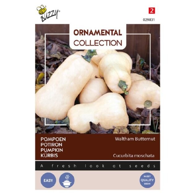 Odkryj nasiona premium Dynia 'Walthum Butternut' z kolekcji Buzzy Ornamental Collection w naszym internetowym sklepie ogrodniczym. Ta paczka nasion z żywymi, jasnopomarańczowymi obrazami dyni piżmowej zawiera szczegółowe informacje na temat trudności w uprawie, pieczęć zapewnienia jakości i wielojęzyczne etykiety. Idealne dla ogrodników poszukujących wysokiej jakości nasion pięknych odmian dyni ozdobnej. Kup teraz wyjątkowe artykuły ogrodnicze!.