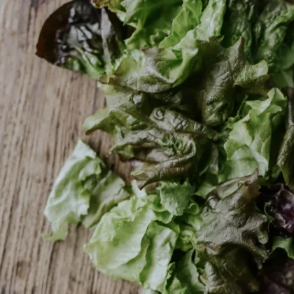 Premium 'Red Salad Bowl' ECO Lettuce na sprzedaż - Odkryj żywe zielone i czerwonobrązowe liście tej świeżej odmiany sałaty. Idealna do ogrodu lub kuchni, dodaje koloru i faktury do każdego nakrycia stołu. Kup teraz w naszym internetowym butiku ogrodniczym najwyższej jakości nasiona sałaty i podnieś poziom swoich doświadczeń ogrodniczych.