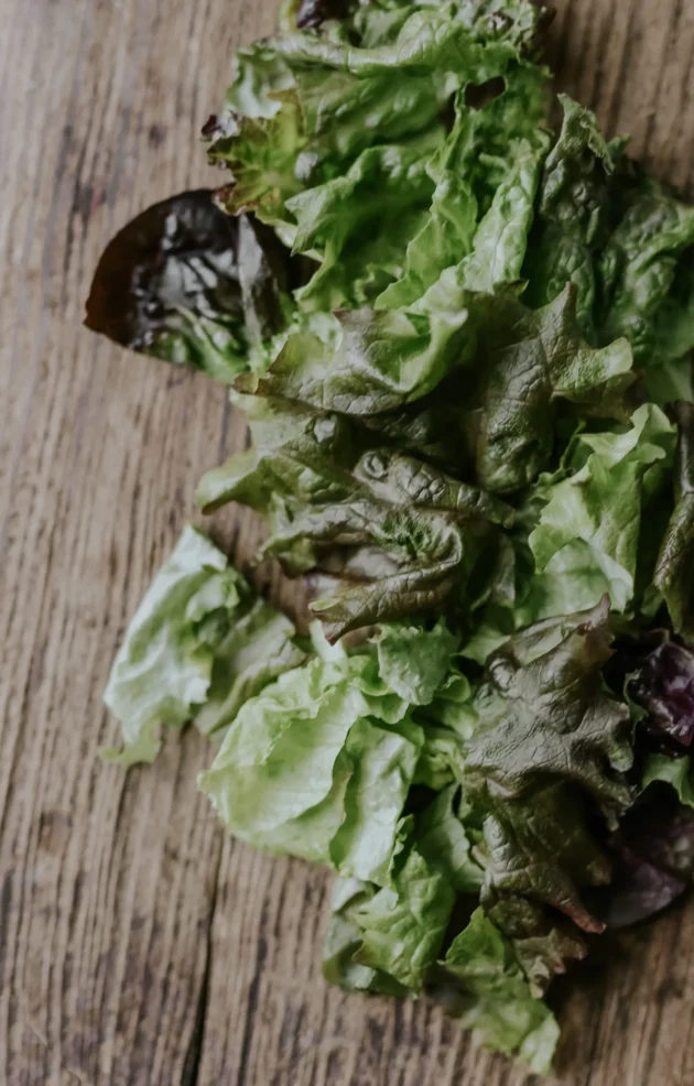 Premium 'Red Salad Bowl' ECO Lettuce na sprzedaż - Odkryj żywe zielone i czerwonobrązowe liście tej świeżej odmiany sałaty. Idealna do ogrodu lub kuchni, dodaje koloru i faktury do każdego nakrycia stołu. Kup teraz w naszym internetowym butiku ogrodniczym najwyższej jakości nasiona sałaty i podnieś poziom swoich doświadczeń ogrodniczych.