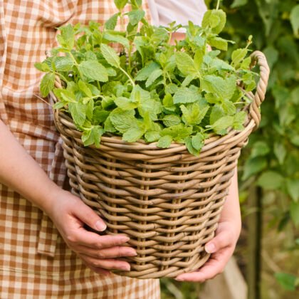Kosz/planter rattanowy