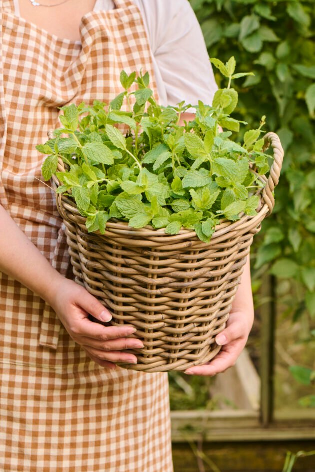 Kosz/planter rattanowy
