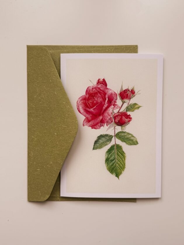 Ręcznie wykonana kwiatowa kartka botaniczna„Róża z przydomowego ogrodu” prezentuje szczegółową ilustrację botaniczną różowych i czerwonych kwiatów róż ogrodowych z bujnymi zielonymi liśćmi i pąkami. Idealna na prezent, ta artystyczna kartka z naszego internetowego butiku ogrodniczego jest częściowo umieszczona w stylowej zielonej kopercie na czystym białym tle.
