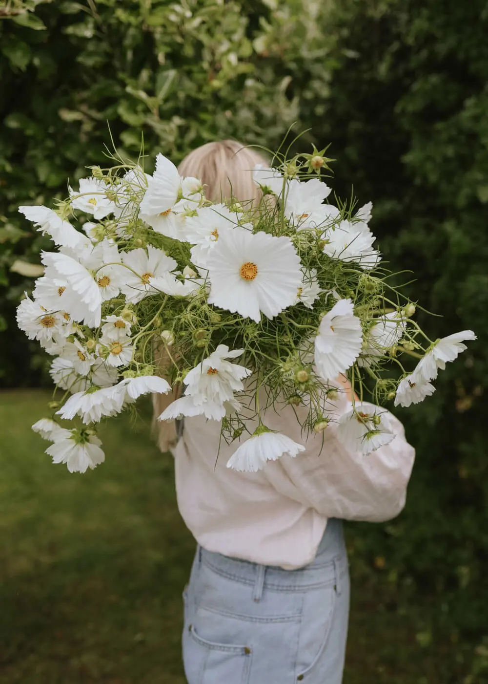 Osoba w jasnej koszuli i niebieskich dżinsach trzyma kwiaty Kosmos 'Hacienda White Mix' na zewnątrz, pokazując bujne zielone liście ogrodowe.