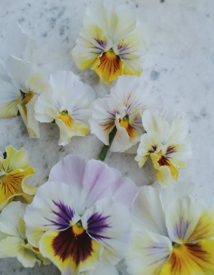 Bratek 'Flamenco Soft Azure Limonetto F1' o jasnożółtych, białych, fioletowych i pomarańczowych płatkach na marmurowych kwiatach ogrodowych klasy premium.