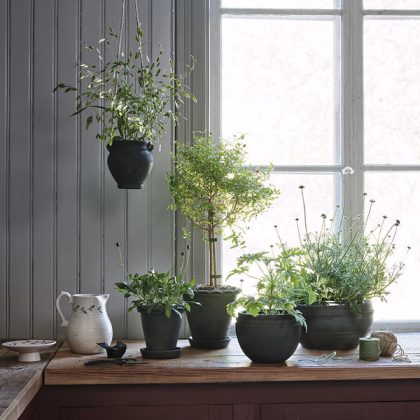 Doniczka z gliny Rafael na słonecznym kuchennym parapecie z narzędziami ogrodniczymi i białym ceramicznym dzbankiem.