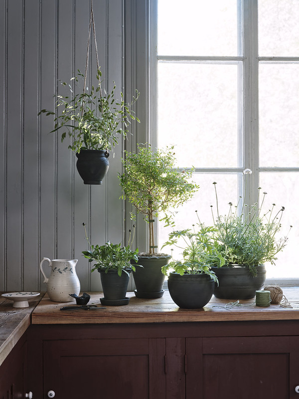 Doniczka z gliny Rafael na słonecznym kuchennym parapecie z narzędziami ogrodniczymi i białym ceramicznym dzbankiem.