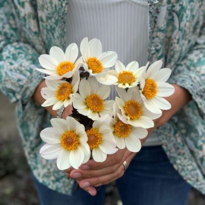 Sklep premium Dalia 'Dahlegria White' bukiet-zielona wzorzysta kurtka, niebieskie dżinsy, outdoorowa oprawa - ekskluzywny butik ogrodniczy.