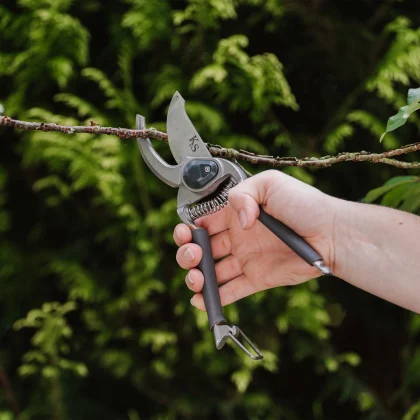 Ręka trzymająca tradycyjny sekator ogrodowy Kent & Stowe do przycinania gałęzi w zielonej scenerii ogrodu.