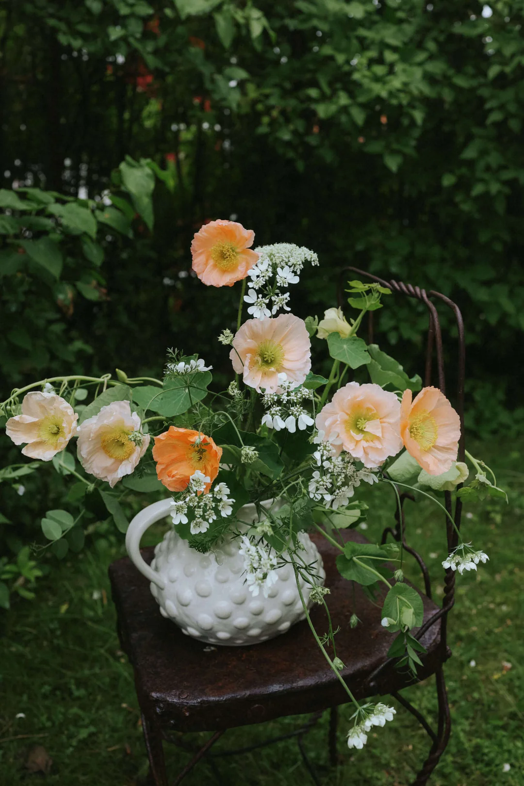 Mak islandzki 'Colibri Rosa Chiaro Pastello' kompozycja kwiatowa w białym wazonie na rustykalnym krześle, w ogrodzie, na tle bujnej zieleni.
