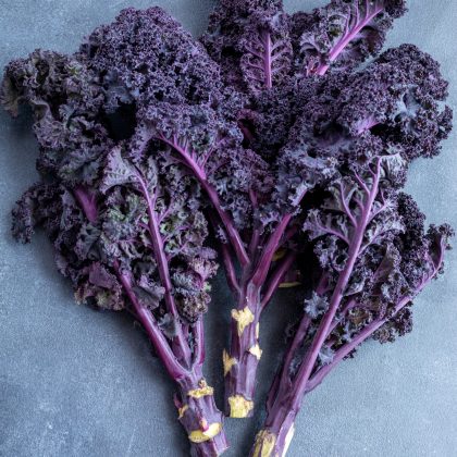 Kup jarmuż 'Scarlet': żywe, fioletowe łodygi i potargane, ciemnofioletowe liście na stylowym, szarym tle do ogrodu.