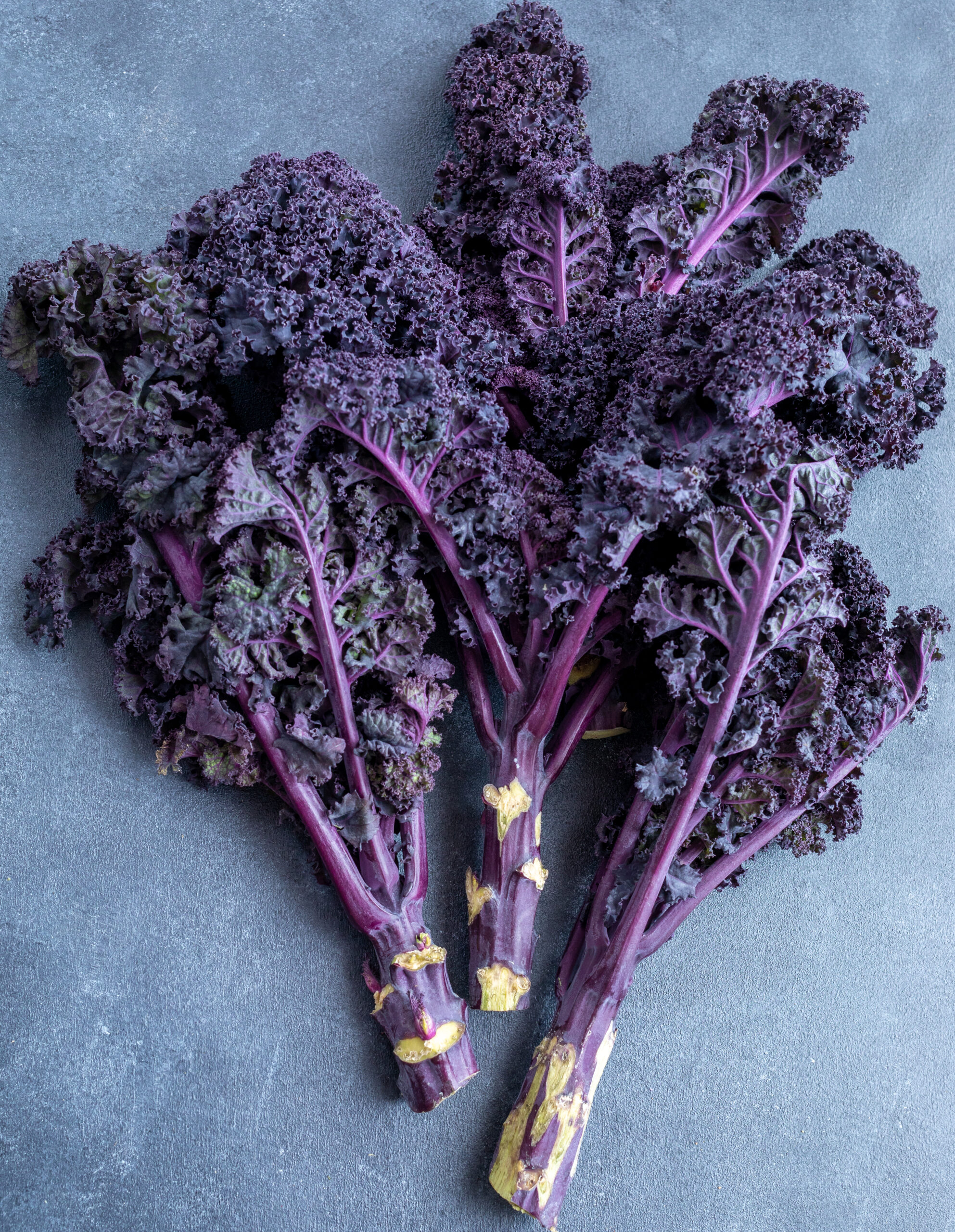 Kup jarmuż 'Scarlet': żywe, fioletowe łodygi i potargane, ciemnofioletowe liście na stylowym, szarym tle do ogrodu.