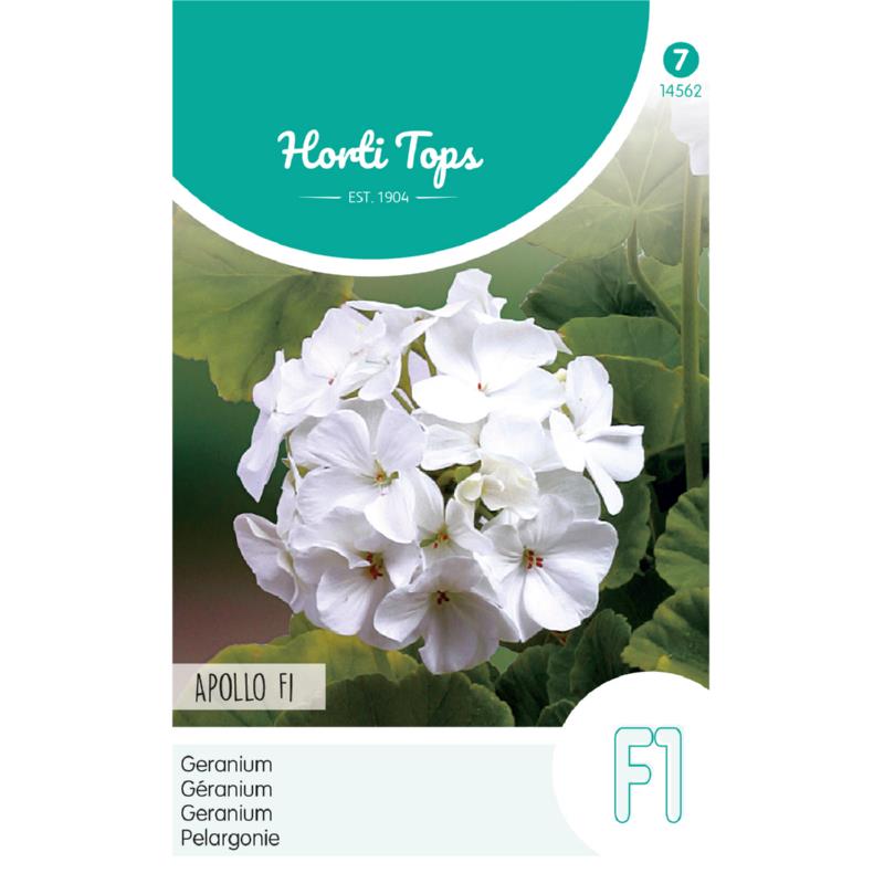 Opakowanie nasion pelargonii „Apollo White” F1, na którym widnieje ilustracja przedstawiająca intensywnie białe kwiaty pelargonii na tle bujnej zielonej liściastki – idealne dla ogrodników; opakowanie zawiera wielojęzyczny opis, dzięki czemu te nasiona pelargonii najwyższej jakości są doskonałym wyborem dla międzynarodowych miłośników roślin dokonujących zakupów online.