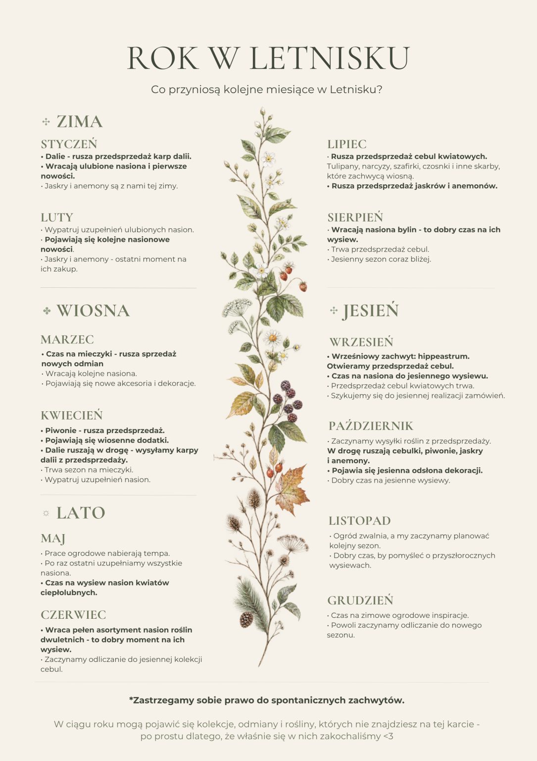 Infografika w języku polskim przedstawiająca comiesięczne porady ogrodnicze na każdą porę roku, przeznaczona dla miłośników ogrodnictwa i klientów butików ogrodniczych. Centralną ilustrację przedstawiającą roślinę otacza kalendarz podzielony na sekcje: zimę, wiosnę, lato i jesień, z których każda zawiera zwięzłe comiesięczne wskazówki dotyczące sadzenia, przycinania i pielęgnacji ogrodu. Idealna dla osób poszukujących sezonowych porad ogrodniczych w języku polskim w internetowych sklepach ogrodniczych lub butikach ogrodniczych.
